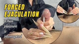 The Slave Was Reaching Orgasm When He Was Suddenly Interrupted And Ejaculated | LINH'S LONG NAIL | CRAZY ABOUT LONG AND NATURAL NAILS