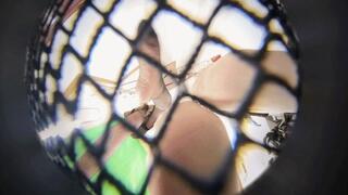 4K ANNA SUSU YANYAN POV Squashing the Dwarf in the Shoe 360VR