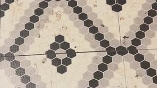 Master of Fetishes immorality MP4