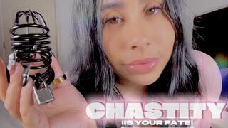 Chastity Is Your Fate