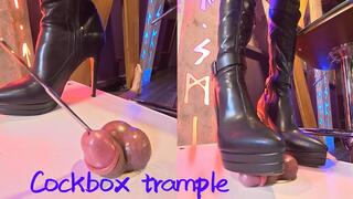 Goddess Nikki trampled him,& trained him with a penis plug.