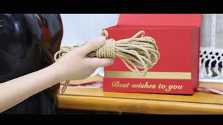 YT1949 Curious Thief