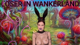 LOSER IN WANKERLAND