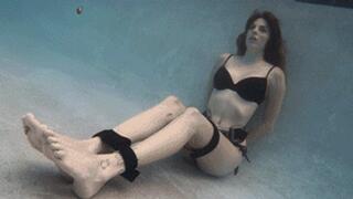 All Of Lana Blackouts