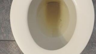 MSN THE ZONE GOLD *MSN THE ZONE DISCONNECT ROOM NOISE*