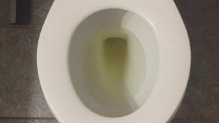 MSN THE ZONE GOLDEN PISS *MSN THE ZONE DISCONNECT ROOM NOISE*