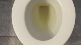 MSN THE ZONE GOLDEN PEE *MSN THE ZONE DISCONNECT ROOM NOISE*