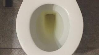 MSN THE ZONE I PISS GOLD *MSN THE ZONE DISCONNECT ROOM NOISE*