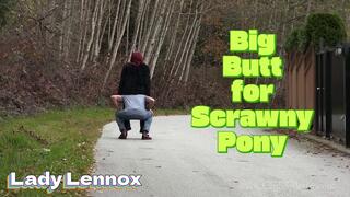 Big Luscious Ass, Scrawny Pony