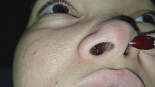 Fosas Nasales de cerdito