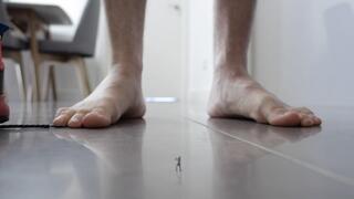 AJ Bug (Shrunken SFX)