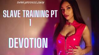 Slave Training Pt 1: Devotion