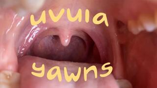 Uvula & yawning