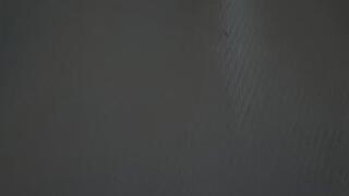 Belly Plopping Story MP4