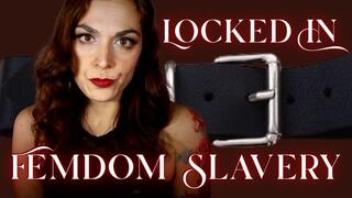 Collar of Surrender: Locked in Femdom Slavery
