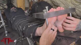 Bench Press - Amecia