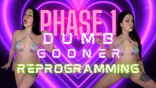 Dumb Gooner Reprogramming - Phase 1