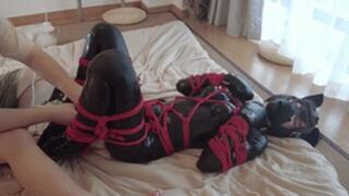 mz15 - A puppy wearing a latex suit and bound by a red rope.