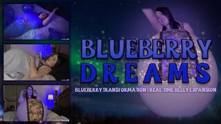 Blueberry Dreams
