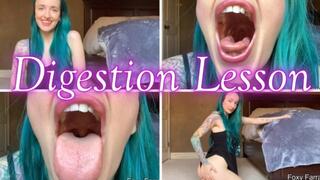 Digestion Lesson wmv