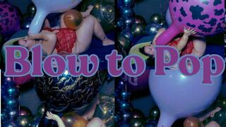 Kalisan B2P 24" and 36"