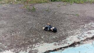 Giant woman in high heels crushes and tramples a man (3)