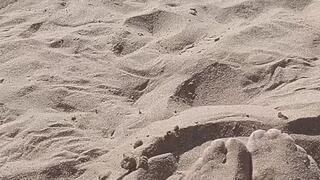 Sandy toes