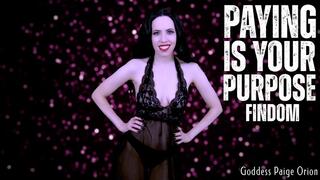 Paying is Your Purpose Findom