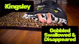 Kingsley Gobbled Swallowed & Disappeared 1080p