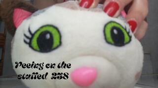 Peeing on the stuffed 238