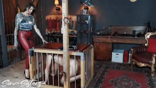 Pegging training for my chastity slave (Melisande Sin) [720p]
