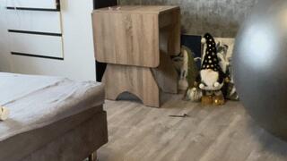 jump on gray ball new vid