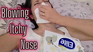 Nose Trumpet in bed