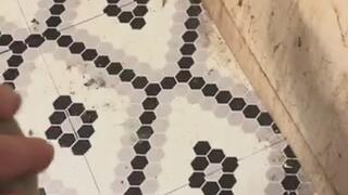 Master of Fetishes Ebony Foot Fetish MP4