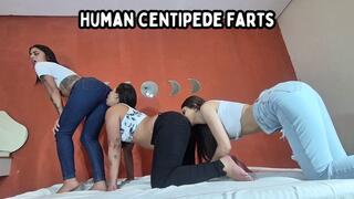 Human centipede Farts