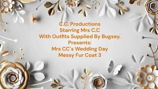 Messy Decadent Fur & Clothes 3. The Wedding