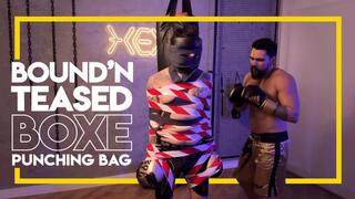 Hex ties Tonny to the punching bag (1080p) Male Bondage - Gay Boxing - Gay Stomach Punches - Gay Stomach Punches - Gay Bondage - Wrestling - BDSM