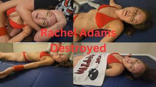 The Skull Squashes Rachel Adams 3840 2160 4K