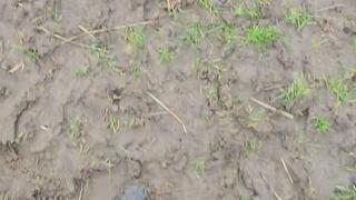 Squelching Mud With Posh Riding Boots