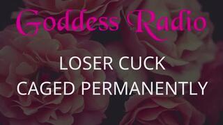 Goddess Radio Episode 15 - Loser Cuck Caged Permanently