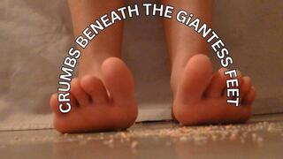 GiANTESS EATS ABOVE YOU