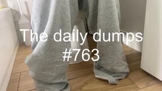 The daily dumps #763 mp4