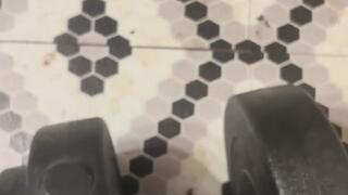 Master of Fetishes Muscle Stud Fetish MP4