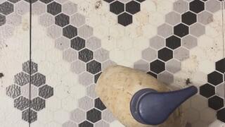 Master of Fetishes, Fantasy Lotion Wrestling MP4