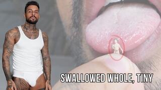 Swallowed whole, tiny - Lalo Cortez