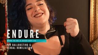 TO BE A GOOD BOY #2 - ENDURE - POV ballbusting & verbal humiliation