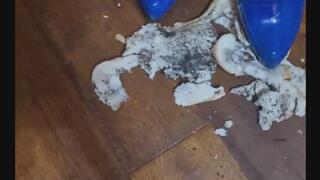 Making my subs lunch