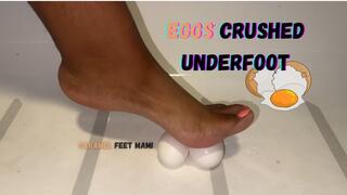 Eggs Crushed Underfoot