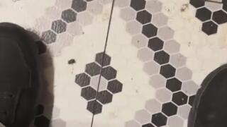 Master of Fetishes Zit Popping Fetish MP4