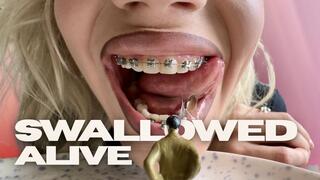 Tiny Man Swallowed Alive